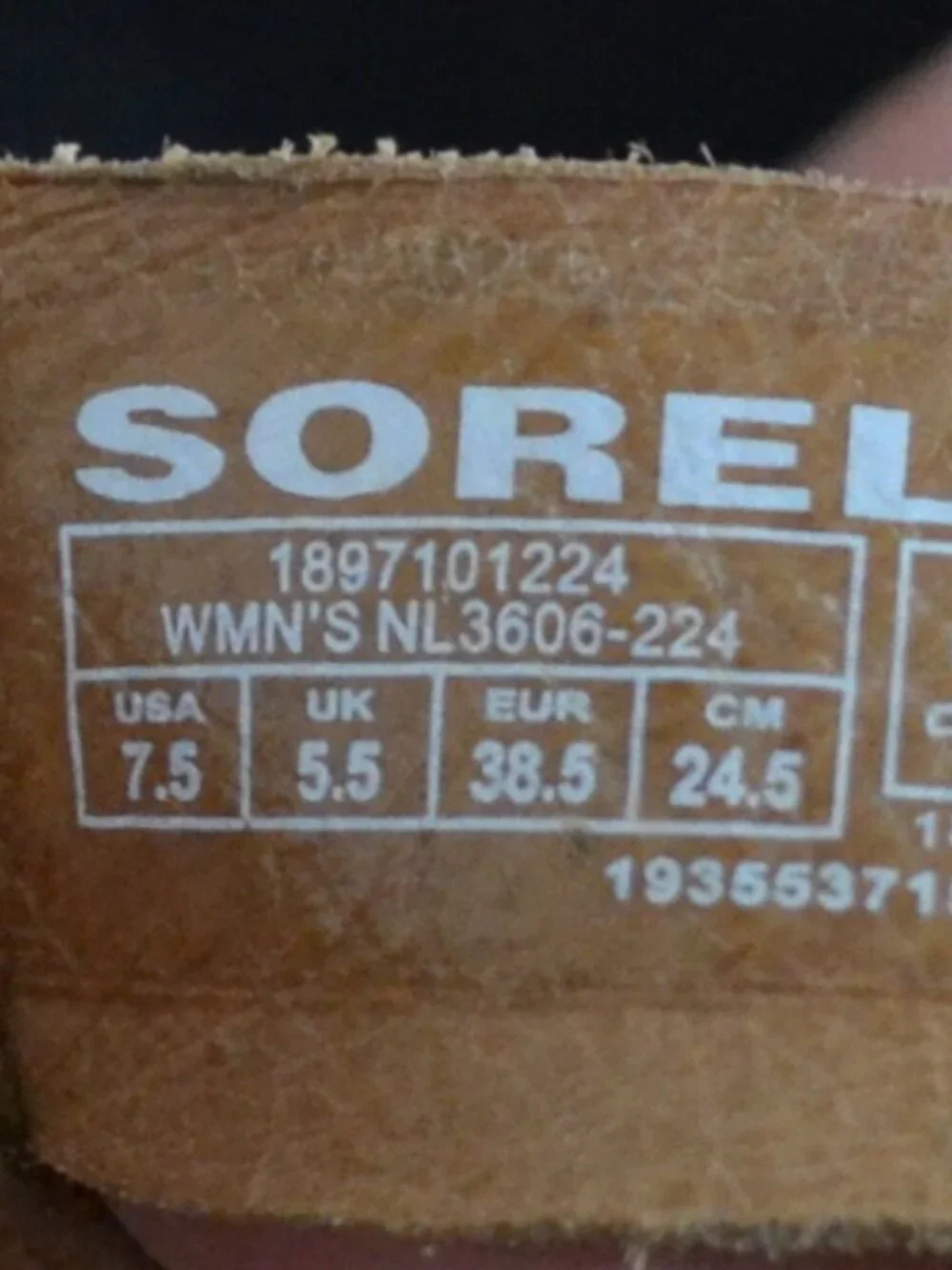 Sorel Roaming Criss Cross sandals